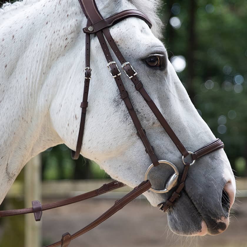 découvrez les avantages d'un bridon cheval sur mesure, alliant confort, ajustement parfait et performance optimale pour votre cheval.