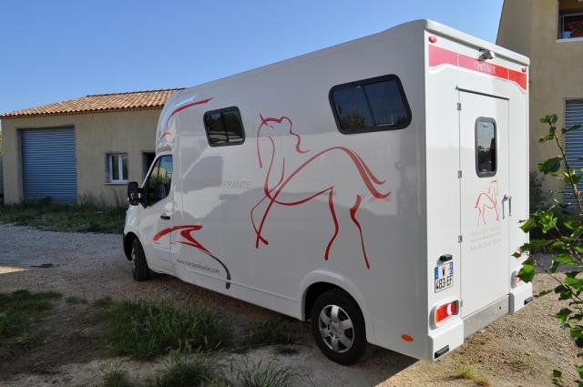 découvrez notre sélection de camions d'occasion pour chevaux, 2 places, parfaits pour un transport sûr et confortable de vos chevaux. qualité et fiabilité garanties.
