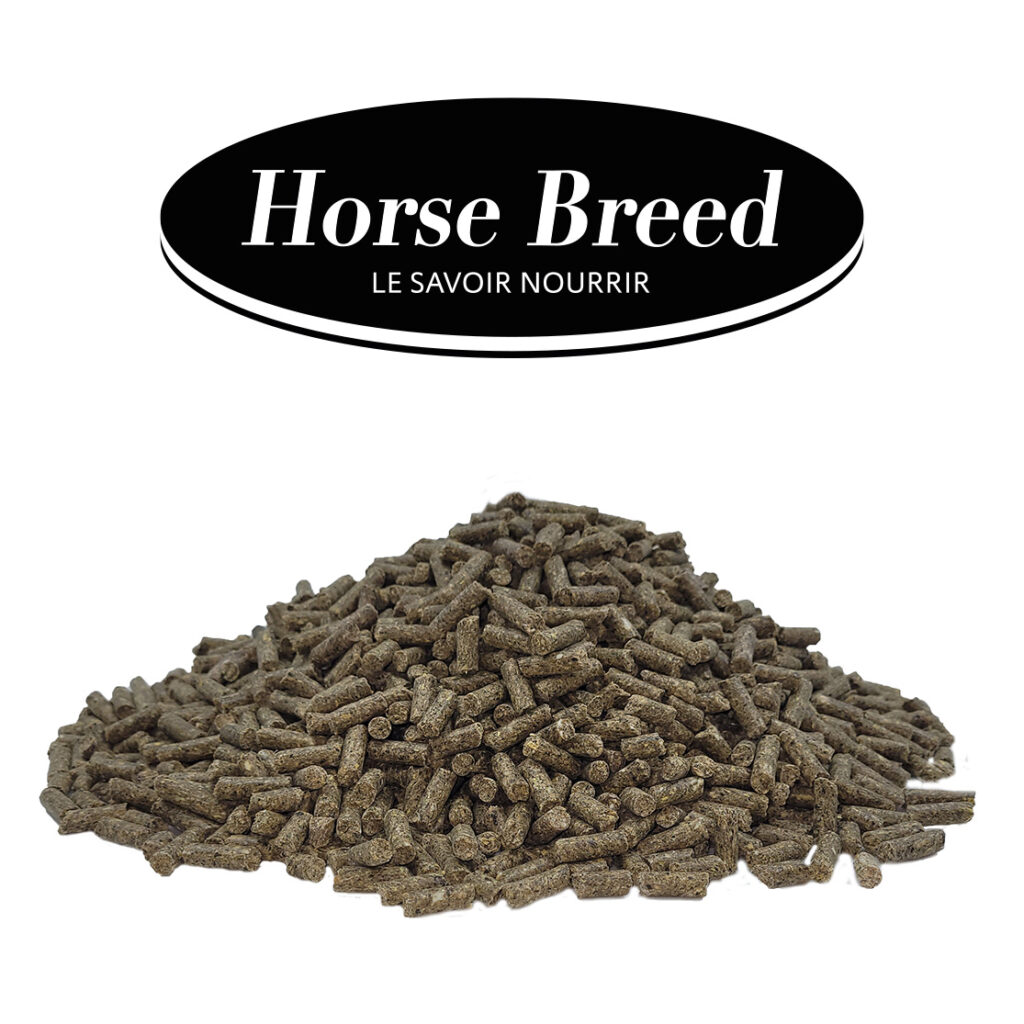 découvrez comment choisir l'aliment idéal pour chevaux en big bag, alliant qualité, praticité et économie pour une alimentation optimale de vos chevaux.