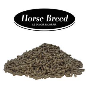 découvrez comment choisir l'aliment idéal pour chevaux en big bag, alliant qualité, praticité et économie pour une alimentation optimale de vos chevaux.