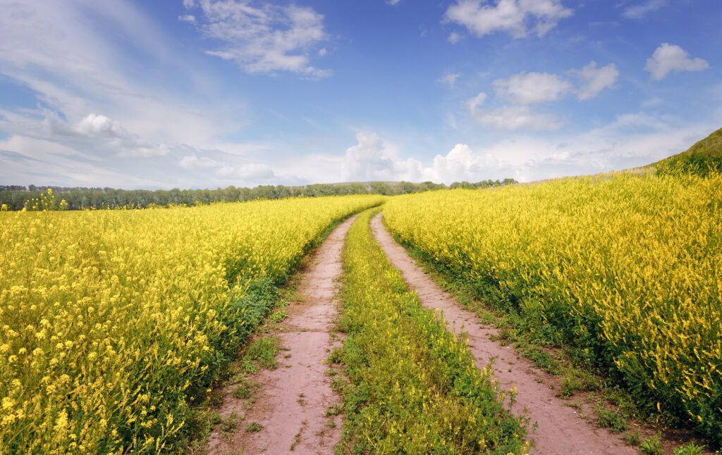 découvrez comment construire sur un terrain agricole tout en respectant l'environnement et les réglementations, pour un projet durable et responsable.