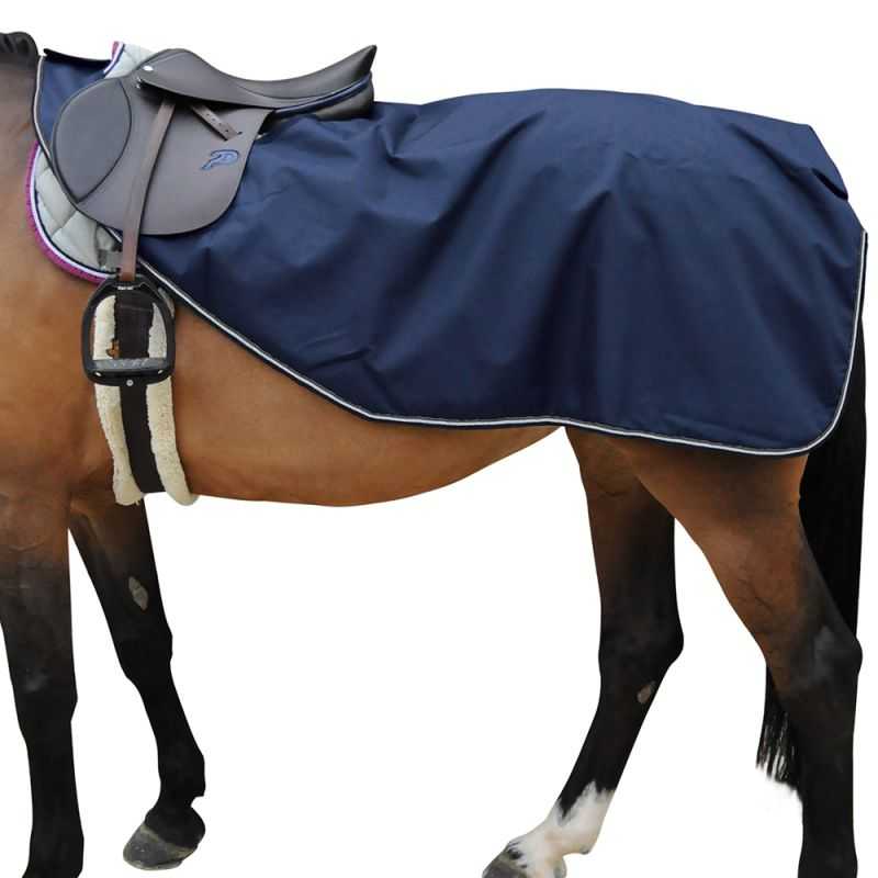 découvrez notre couvre-rein imperméable pour cheval, idéal pour protéger votre équidé du froid et de l'humidité tout en offrant un confort optimal.