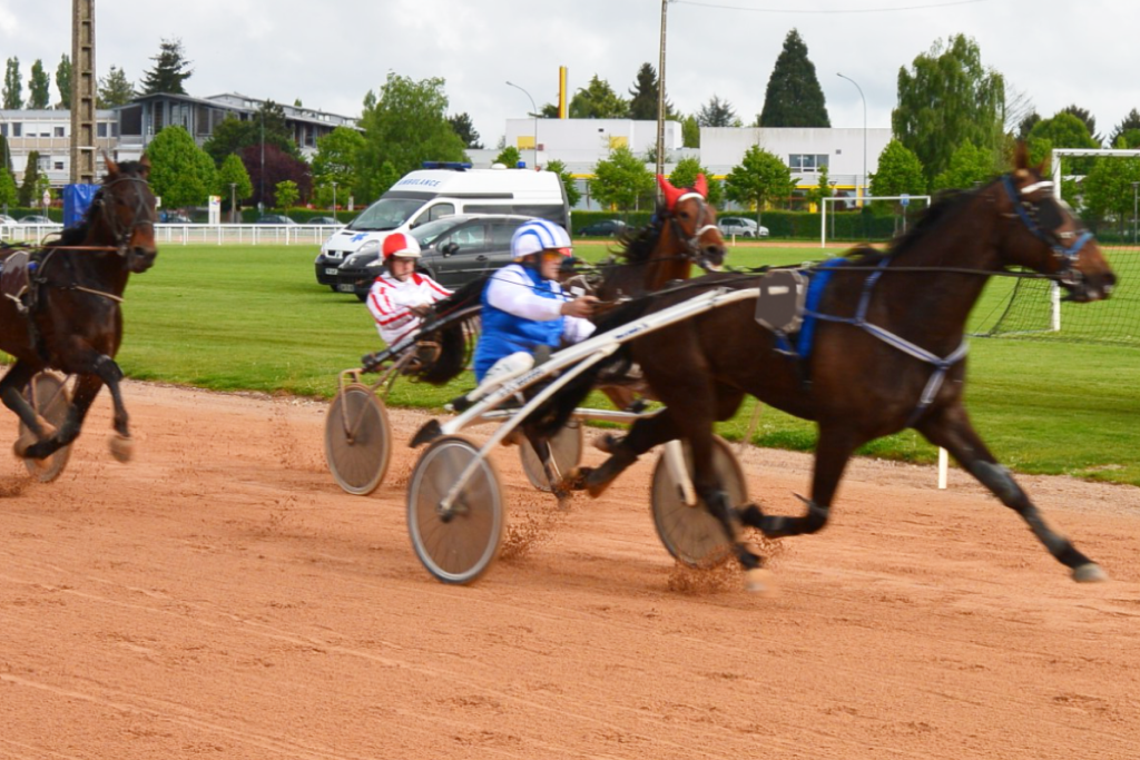 découvrez comment acheter un cheval de course : conseils, critères de sélection et meilleurs élevages pour trouver votre futur champion.