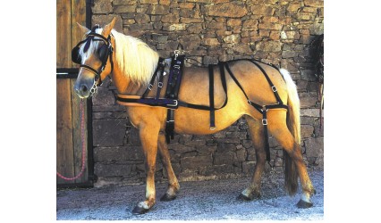découvrez comment choisir le harnais d'attelage idéal pour votre cheval afin d'assurer confort, sécurité et performance lors de vos sorties.