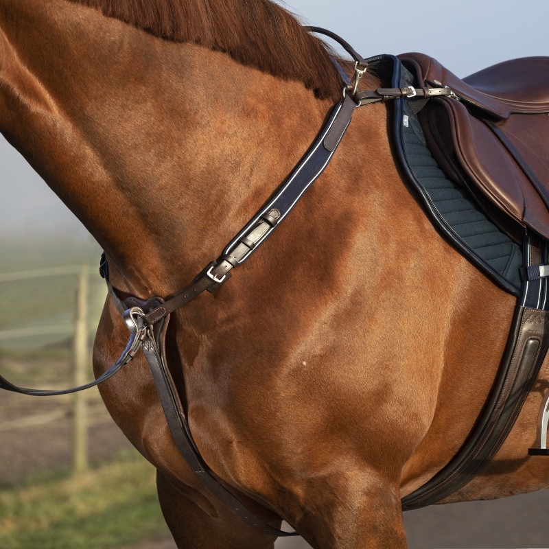 découvrez notre guide complet et nos conseils pratiques sur le collier de chasse pour chevaux, pour assurer confort et efficacité lors de vos sorties.