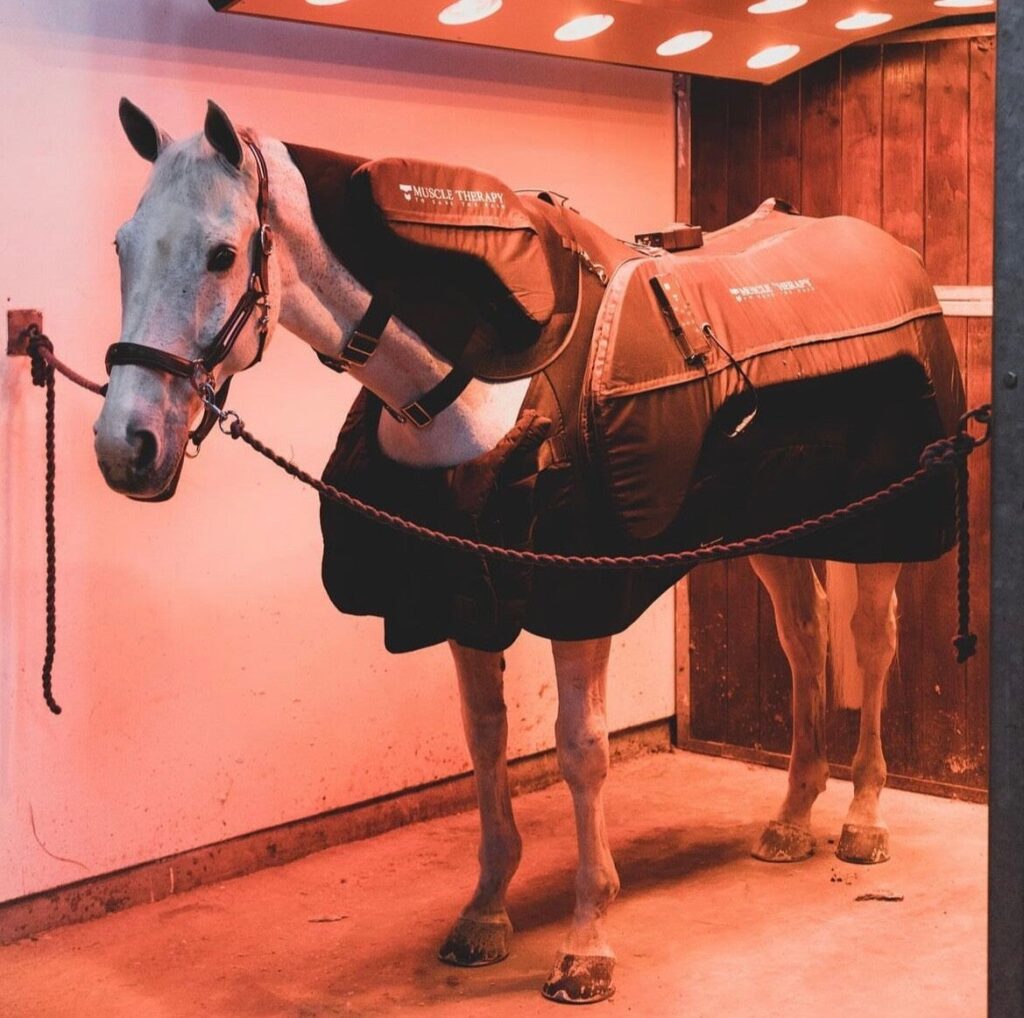 découvrez les avantages des couvertures massantes pour chevaux, qui favorisent leur bien-être, améliorent la circulation sanguine et soulagent les muscles après l'effort.