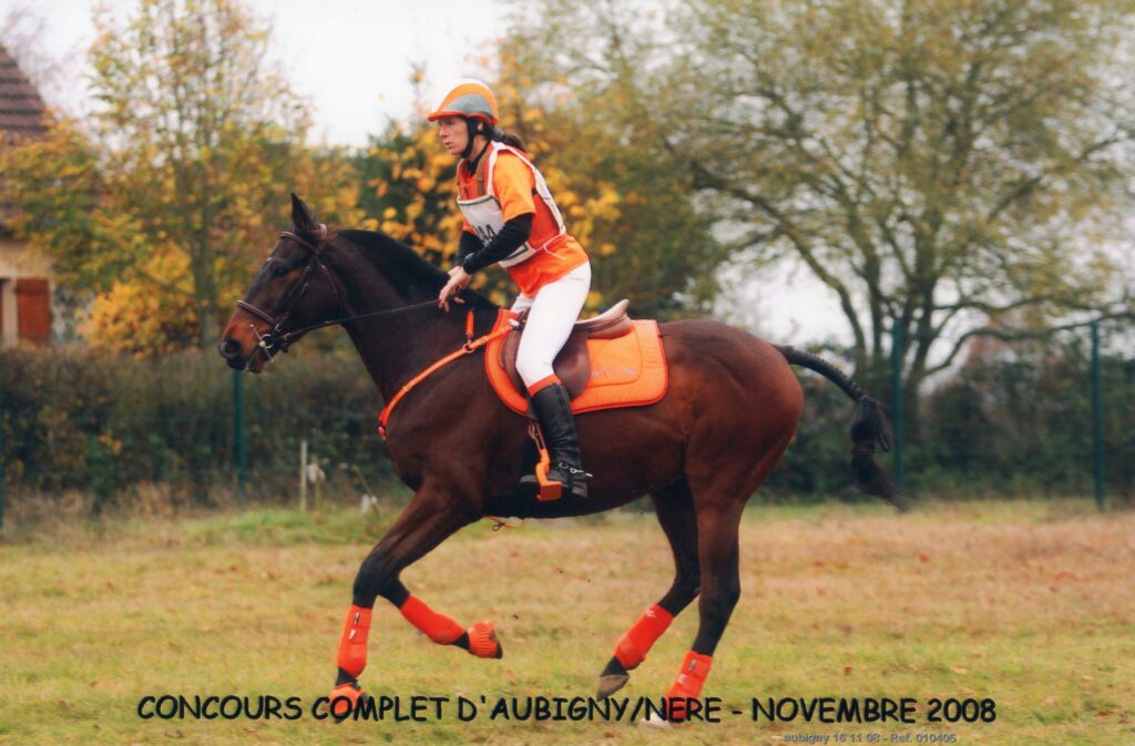découvrez notre sélection d'équipements pour l'endurance équestre, alliant confort et performance pour votre cheval lors de longues distances.