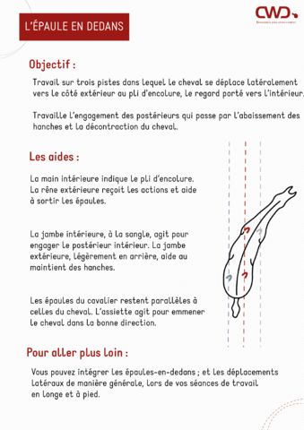 découvrez des exercices de travail à pied pour améliorer la communication et la complicité avec votre cheval. techniques simples et efficaces pour un entraînement respectueux.