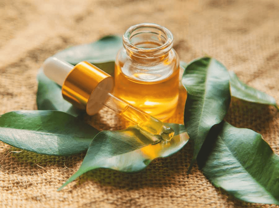 découvrez l'utilisation des huiles essentielles dans le traitement de la dermatophilose chez le cheval, pour une approche naturelle et efficace du soin équin.