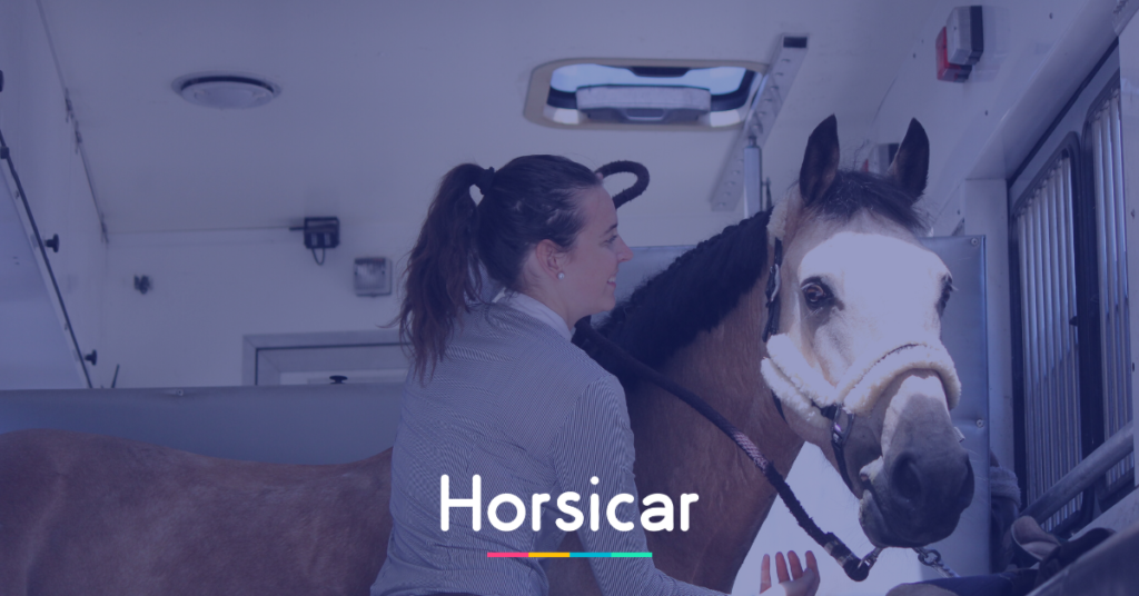 louez un cheval en toute sécurité grâce à nos conseils et services experts pour une expérience équestre sereine et sécurisée.
