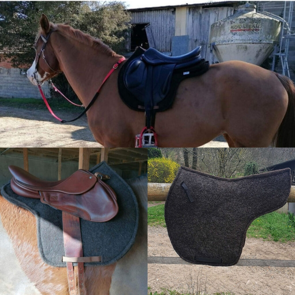 découvrez comment choisir le tapis d'endurance idéal pour votre cheval afin d'assurer confort et protection lors de vos longues sorties.