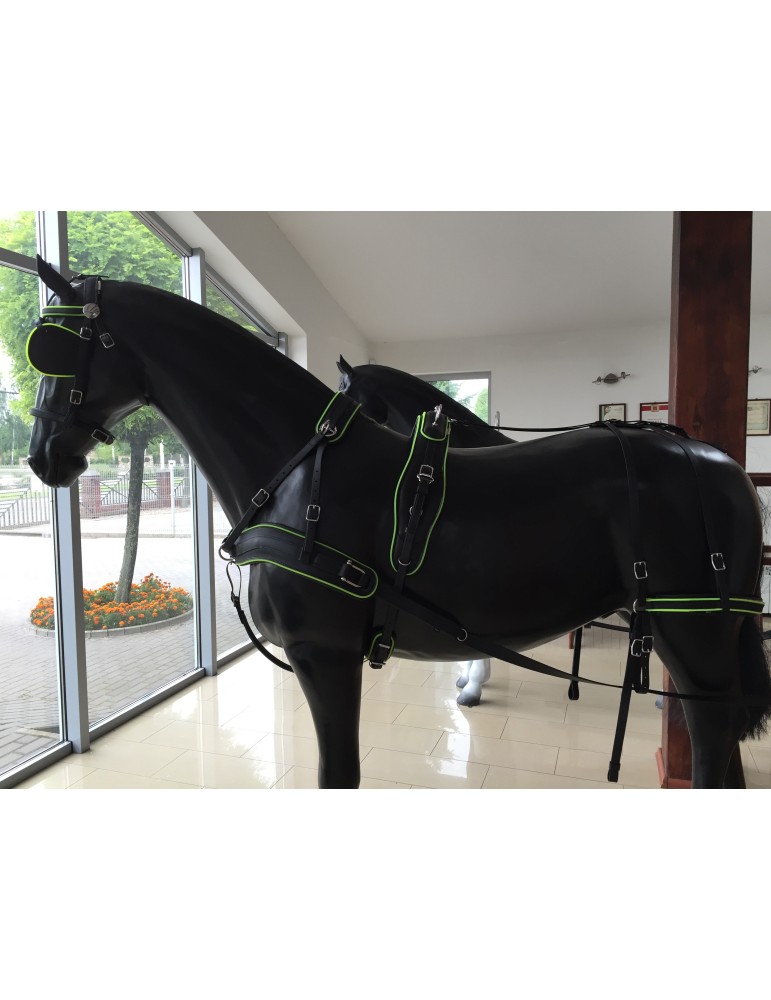 découvrez comment choisir le harnais idéal pour votre cheval de trait, avec des conseils adaptés pour allier confort et performance.