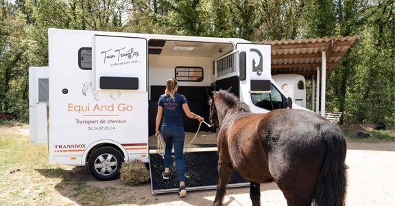 découvrez les tarifs compétitifs pour le transport de chevaux, avec des services fiables et adaptés à vos besoins.