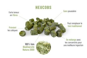 découvrez les bienfaits du son de blé pour les chevaux : un complément nutritif riche en fibres et en énergie, idéal pour une alimentation équilibrée.