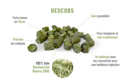 découvrez les bienfaits du son de blé pour les chevaux : un complément nutritif riche en fibres et en énergie, idéal pour une alimentation équilibrée.