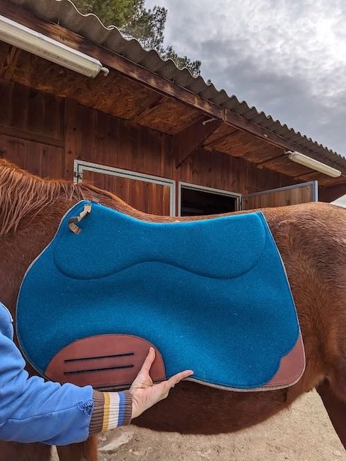 découvrez comment choisir le tapis idéal pour le cheval d'endurance, alliant confort et performance pour des longues distances réussies.