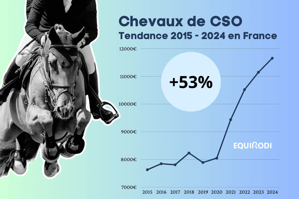 découvrez nos tarifs de transport de chevaux pour l'année 2025. profitez d'un service fiable et sécurisé adapté à vos besoins.