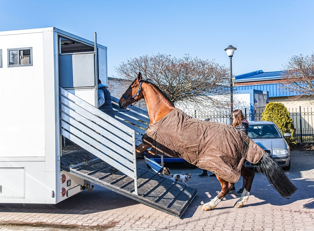 découvrez nos conseils pratiques pour assurer la sécurité lors du transport de chevaux. préparez-vous efficacement pour un voyage serein et sans risques.