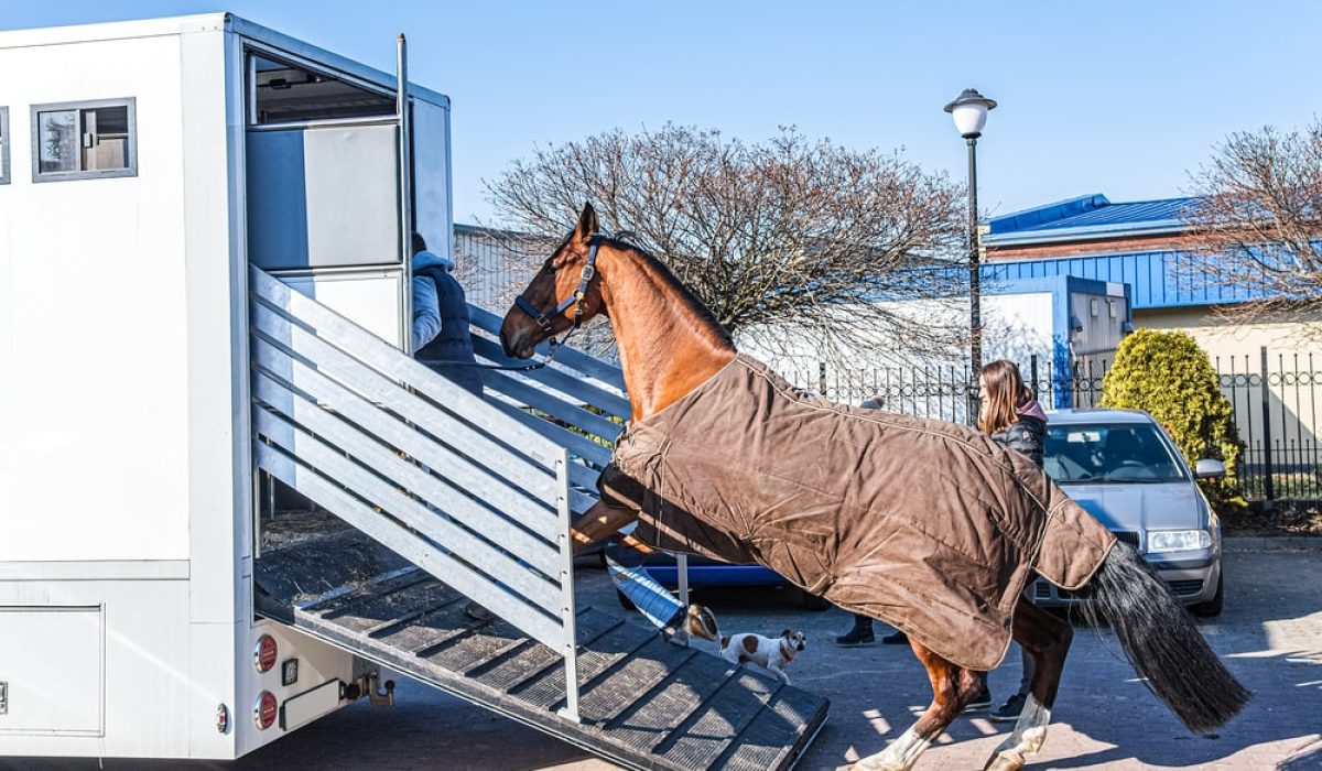 découvrez nos conseils pratiques pour assurer la sécurité lors du transport de chevaux. préparez-vous efficacement pour un voyage serein et sans risques.